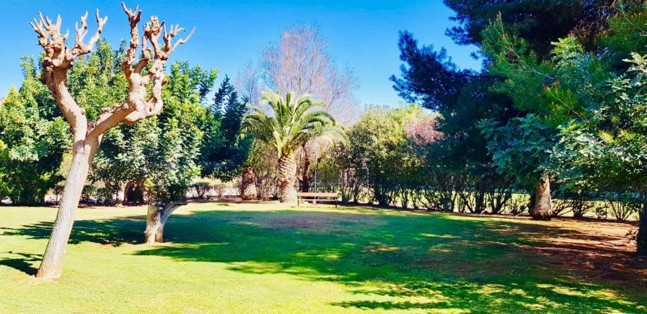 Apartamento Cerca De Playa Y Montana Ideal Familias O Relax Puzol Εξωτερικό φωτογραφία